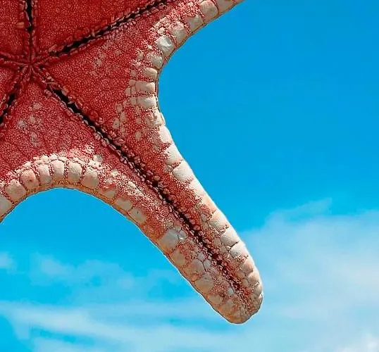 Aparthotel Cirpan Apart